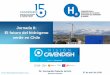 Jornada II: El futuro del hidrógeno verde en Chile · El futuro del hidrógeno verde en Chile Dr. Fernando Palacín Arizón Director Gerente 07 de abril de 2020 . Quiénes Somos