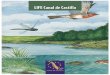 LIFE Canal de Castilla - Fundación Global Nature...recuperación de especies prioritarias de conservación. Los objetivos especíﬁ cos del proyecto han sido: Incrementar y recuperar