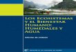 Los Ecosistemas y el Bienestar Humano: Agua · 2020-04-28 · Los ecosistemas y el bienestar humano: humedales y agua. Informe de síntesis: un Informe de la Evaluación de los Ecosistemas