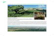 sierra morena - Castilla-La Mancha › sites › default › files › documentos … · de especies de fauna emblemáticas en la Península Ibérica DESCRIPCIÓN GENERAL Extenso