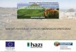 HÁBITATS PASCÍCOLAS Y ESPECIES AMENAZADAS VINCULADAS · 2020-02-25 · Grandes biomas . En esta zona las herbáceas sólo llegan a formar comunidades permanentes donde las condiciones