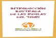 INTRODUCCIóN ILUSTRADA DE LAS REGLAS DEL TENIS · 2020-06-25 · jugar tenis—el servicio (o saque), la puntuación, las líneas y las partes de la cancha de tenis, como anunciar