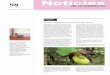 98 Notícies de la Institució · del Llobregat és una pàgina web amb informació sobre totes les espècies d’amﬁ bis i rèptils d’aquest espai natural, essent especialment