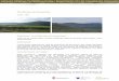 Muntanyes de Rocacorba - Cilma · Muntanyes de Rocacorba Codi: 105 Superfície i municipis que es comprenen: 3.661,70 ha. Canet d’Adri, Camós, Porqueres, Palol de Revardit, Sant