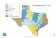 Ecoregions of Texas · 2007-10-26 · pecos w ebb brewster hudspeth pr esidio reeves culberson val verde duval terrell cr ockett frio harris bee edwards clay bell jeff davis hill