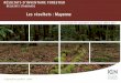 Les résultats : Mayenne · Mayenne n.s. – Forêt privée 1 000 ha 28 ± 7 n.s. 43 ± 8 Forêt publique 1 000 ha n.s. – n.s. RÉSULTATS D’INVENTAIRE FORESTIER – RÉSULTATS