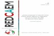 ¿Cómo potenciar la relación entre China, Brasil, México y …chinayamericalatina.com/wp-content/uploads/2018/03/WP-N... · 2018-09-18 · 4 - Revista de REDCAEM N° 2 • Enero
