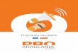 Propuesta Campaña - ProAraucania.comproaraucania.com/wp-content/uploads/2016/11/Brochure-ProArauca… · Propuesta Campaña. Resumen fuentes de tráfico portal ProAraucanía 722.089