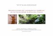 Biodiversidad de coleópteros edáficos en la Comunidad ...F3... · 1 Biodiversidad de coleópteros edáficos en la Comunidad Autónoma Vasca Autores: Carles Hernando 1(3) Ignacio