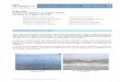 Meteorologia i estat de la mar Presència de meduses …canetdemar.cat/ARXIUS/documpdf/PDFvaris10/estatplages/... · 2010-08-27 · han afectat els accessos a les platges, on s’han