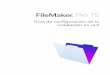FileMaker Pro 15Los usuarios deben tener privilegios de administrador de Windows para instalar FileMaker Pro. Selección del método de instalación (Windows) Antes de configurar la