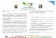 Guía N°1 resumen de tipo analítico Pasos para descubrir el ...iealpvillavicencio.edu.co/website/wp-content/... · Guía N°1 Pautas para la elaboración de un Resumen Analítico