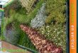 HELECHOS S. COOP. MAD. viene desarrollando su actividad desde EN VERTICAL Edic. V.… · Tipología de jardines verticales Los actuales sistemas vegetales verticales son una innovadora