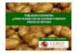 precio de refugio 2018 final - Senal de Alerta...Proyecto “Precio de Refugio” para productos agrícolas andinos Uno de los productos que debería recibir la protección sugerida