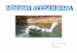 Treball nataci Laura - XTECmboix28/documents/natlaura.pdf · La natació és el mètode pel qual els éssers vius es desplacen per l’aigua. És un esport molt recomanable per la
