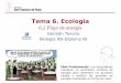 Tema 6. Ecologíadpbiologia.weebly.com/uploads/2/1/5/5/21553524/gtp... · Germán Tenorio Biología NS-Diploma BI Tema 6. Ecología 6.2 Flujo de energía Idea Fundamental: Los ecosistemas