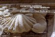 Camino de futuro - culturagalega.galculturagalega.gal/imaxes/docs/Folleto_cnag_baja.pdf · que transcurre por la ría de Arousa y el río Ulla, para apreciar el rico patrimonio natural