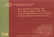 Cuadernos de Extensión Jurídica 12 (2006) · 2016-11-14 · Cuadernos de Extensión Jurídica 12 (2006) La protección del derecho de los consumidores en Chile CIP - Universidad