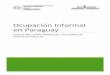 Ocupación Informal en Paraguay - SINAFOCAL · 2017-05-31 · informal de las empresas informales (pequeñas empresas no registradas) y también en empresas formales. Con la definición