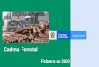 Presentación de PowerPoint - MinAgricultura...Fuente: Dane, 2019. Cuenta Satélite Ambiental NOTA: La Cuenta Satélite Ambiental que contiene la cuenta de los productos del bosque