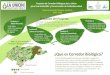 Departamento de El Paraíso, Honduras 2016 - 2020€¦ · Departamento de El Paraíso, Honduras 2016 - 2020. Proyecto de Corredor Biológico de La Unión para Uso Sostenible y Conservación