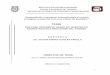 TESIS - Repositorio Digital IPN: Página de inicio · 1 INSTITUTO POLITÈCNICO NACIONAL ESCUELA SUPERIOR DE TURISMO SECCIÓN DE ESTUDIOS DE POSGRADO E INVESTIGACION MÉXICO D.F. ENERO