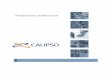 Presentación Institucional - WordPress.com · Presentación Institucional Página 6 de 16 Grupo Calipso – Uspallata 867 (C1268AFC) Ciudad de Buenos Aires – Tel.: (54-11) 5168-1000