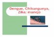 Dengue, Chikungunya, Zika: manejo - Fundação HUTec · A B C e D DENGUE DENGUE GRAVE Definição de casos OMS. SINAN NET SVS 07/2013. SINAN NET SVS 07/2013 ... Fase de Expansão: