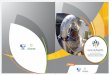 Curso de Experto CURSO MEDIOAMBIENTE.pdf · 2016-01-13 · Gestión Medioambiental, en Reciclado y Recuperación energética de Residuos en Fábricas de Cemento Curso de Experto