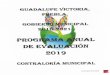 H. Ayuntamiento de Guadalupe Victoria...2. programa anual de evaluaciÓn 2019 3. glosario de tÉrminos 4. marco jurídlco 5. introduccion 6. objetivos 7. generalidades 8. programas