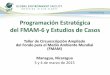 Programación Estratégica del FMAM-6 y Estudios de Casos · vida y el medio ambiente en todas las áreas focales. Uso del pensamiento integrado para elaborar soluciones creativas