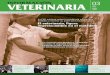 02 informacion veterinaria marzo 2010 Maquetación 1...03 Marzo 2010 REVISTA DE LA ORGANIZACI‡N COLEGIAL VETERINARIA ESPAÑOLA Más de 11.000 profesionales visitaron Propet»10 Bernard