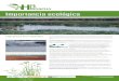 Humedales de La Mancha Importancia ecológica · Humedales de La Mancha Importancia ecológica Los humedales esteparios son auténticos laboratorios de la naturaleza, donde se dan