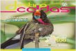 Manizales, Octubre de 2016 año 16 Nº ... - Birding Colombia · andinos, bosques de niebla y bosques secos y bosques húmedos tropicales. 100ediciones COLOMBIA 1921 (SIB Colombia)