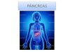 PÁNCREASs4f1d769cf586f6c7.jimcontent.com/download/version...Debido a la doble función del páncreas, su fisiología puede dividirse en dos partes: la exocrina y la endocrina. Unidad