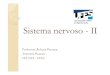 Sistema nervoso - parte 2 · Microsoft PowerPoint - Sistema nervoso - parte 2 Author: Jeremias e Ramylle Created Date: 6/15/2018 11:22:10 PM 