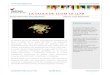 LA TAULA DE LLUM LA LLAR - Escorial Vic · 2017-02-12 · El Talleret de la Llar ofereix la possibilitat d’explorar la llum a través de la taula de llum i els diferents materials
