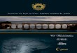 Trenes turísticos de LUJO - O Comboio · 2013-01-30 · 3 E l Transcantábrico es el Tren Turístico de Lujo más veterano de España con más de 26 años de experiencia y considerado