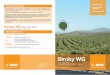 Stroby WG (olivo) portada - BASF Agro España · Es una de las enfermedades más graves del olivo. Sus ataques provocan fuertes defoliaciones, debilitando al árbol y provocando graves