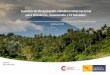 Fuentes de financiación climática internacional para ... · Fuentes de financiación climática internacional para Honduras, Guatemala y El Salvador. 1 Fuentes de financiación