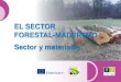 EL SECTOR FORESTAL-MADERERO Sector y materialeseforown.ctfc.cat/pdf/39a_ El sector de la madera... · 2019-09-25 · 2 El sector industrial maderero: sector y materiales –Etapa