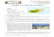 “Chipre : la Isla de …...Es impresionante su campanario con relieves Viajes Próximo Oriente S.L. - CICMA 1.759 C / Alcalá, nº 302 - Planta 1ª Oficina 3 Madrid 28027 - ESPAÑA