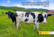 DECLARACIONES OBLIGATORIAS DEL SECTOR VACUNO DE LECHE · 2020-06-05 · recogen leche en España, en las declaraciones obligatorias de entregas mensuales de leche que establece el