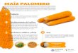 MAÍZ PALOMERO - gob.mx · Producto Establecimiento del cultivo MAÍZ PALOMERO Grano de maíz tostado y reventado. Los granos tienen características especiales que, sometidos al
