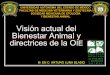 Visión actual del Bienestar Animal y directrices de …veterinaria.uaemex.mx/images/pdf/Bienestar_Animal_Direct...ESTRATEGIA MUNDIAL DE BIENESTAR ANIMAL DE LA OIE La estrategia mundial