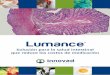 Lumance - Innovad...al síndrome de ‘intestino con fugas” donde moléculas de gran tamaño como toxinas y radicales agresivos logran pasar, ocasionando daños celulares, producción