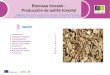 Biomasa forestal - Producción de astilla forestaleforown.ctfc.cat/pdf/_4403_44b_1_Produccion_y... · 1 1 Introducción La astilla procedente de madera de bosque (o biomasa forestal