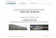 Guia Formativa Urologia 2019-2020 - Rioja Salud · 2019-07-23 · - Trasplante Renal y - Urología General que estudia el resto de las entidades nosológicas. La finalidad de este