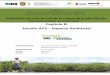 Fedebiocombustibles · 1 para Colombia ATN/JC Capitulo II: Estudio ACV – Impacto Ambiental PREPARADO PARA: Banco Interamericano de Desarrollo (BID) – Ministerio de Minas y Energía