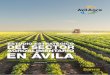 AGROALIMENTARIO EN ÁVILA - Avilagro · poner de manifiesto la necesidad de que el sector agroalimentario abulense sea proactivo y se adelante, en la medida de sus posibilidades,